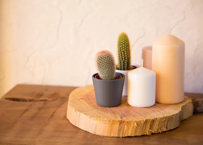 Διαμέρισμα Rural Bagh El Burgo De Osma