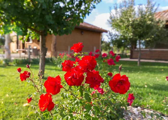 Rural Bagh Διαμέρισμα